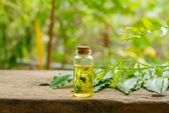 Best Remedy For Hair Loss? Try Neem Oil